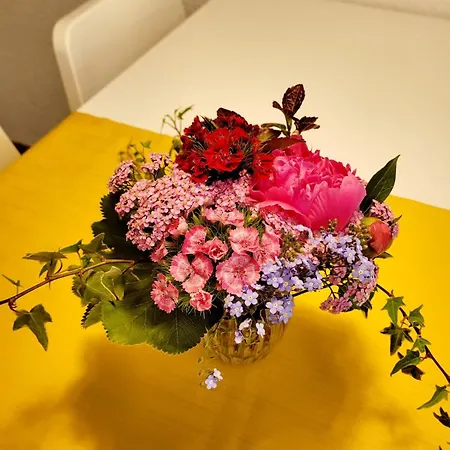 Top2 Apartmenthaus Sonnenschein *